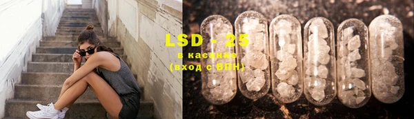крисы Бородино