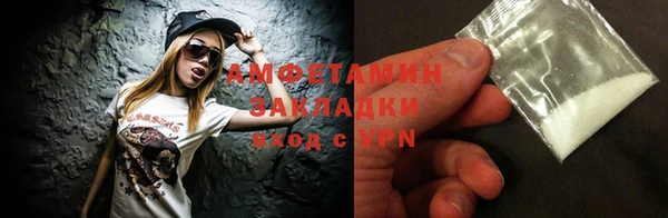 крисы Бородино