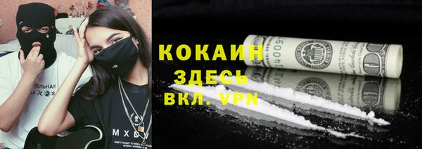 дживик Бронницы
