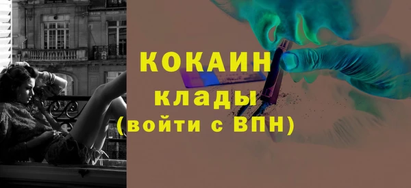 соль ск Богородицк