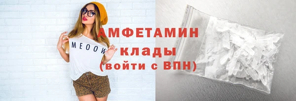 крисы Бородино
