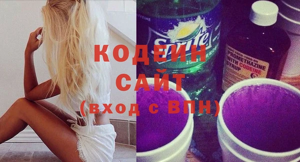 крисы Бородино