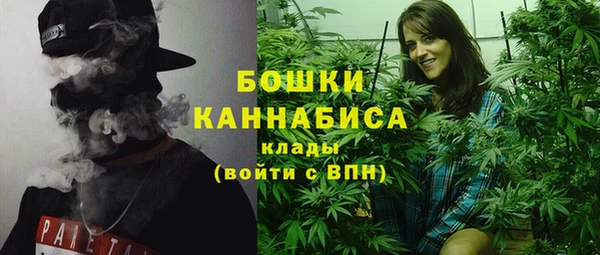 дживик Бронницы