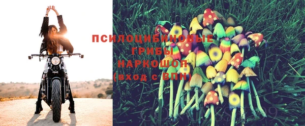 мяу мяу мука Богданович