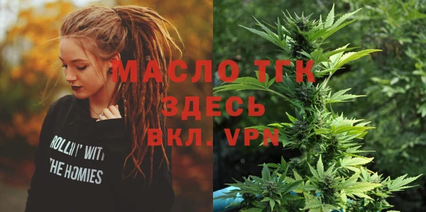 дживик Бронницы