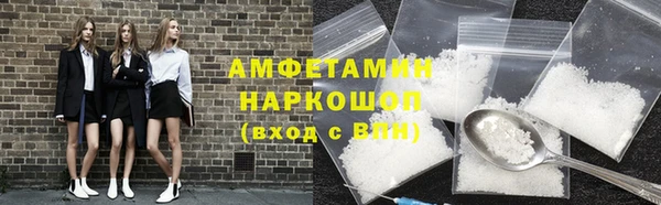 крисы Бородино