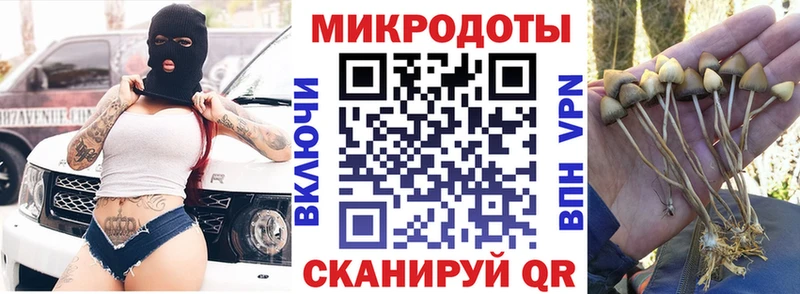 Галлюциногенные грибы Cubensis  Ковров 